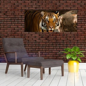 Tablou cu tigrul (120x50 cm)