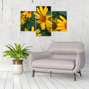 Tablou cu flori galbene (90x60 cm)