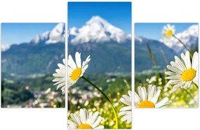 Tablou - Primăvara în Alpi (90x60 cm)