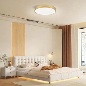Immax NEO 07293L - Plafonieră LED+CCT dimmabilă SEMPLICI 60W/230V, Ø 60 cm, cu telecomandă
