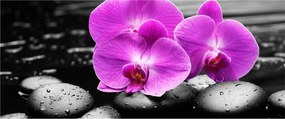 Tablou - Orhidee violet (120x50 cm)
