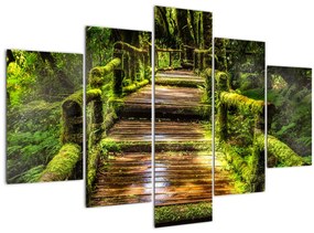 Tablou cu scări într-o pădure tropicală (150x105 cm)