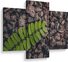 Tablou cu planta verde (90x60 cm)