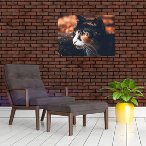 Tablou pe sticlă - Privirea pisicii (70x50 cm)