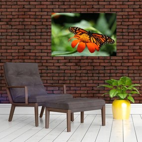 Tablou cu fluture pe floare (90x60 cm)