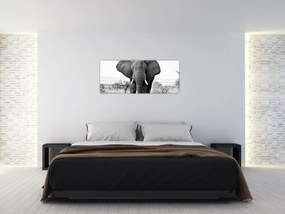 Tablou - Elefantul african II. (120x50 cm)