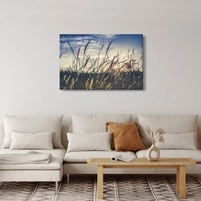 Tablou cu flori de câmp (90x60 cm)