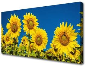 Tablou pe panza canvas Floarea soarelui Floral Galben Verde