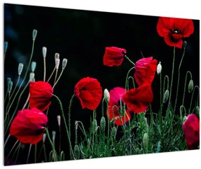 Tablou - Dansul macilor (90x60 cm)