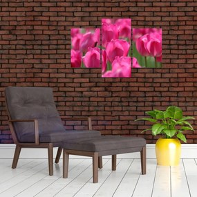 Tablou - Lalele roz (90x60 cm)