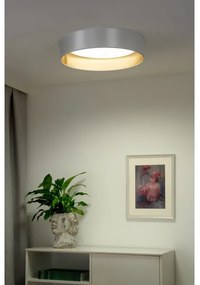 Plafonieră LED Duolla ROLLER LED/24W/230V d. 45 cm argintiu/auriu