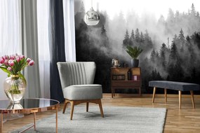 Fototapet - Pădurea în ceață (152,5x104 cm), în 8 de alte dimensiuni noi