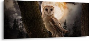 Tablou cu bufnița (120x50 cm)