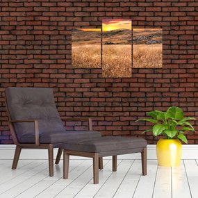 Tablou cu câmp (90x60 cm)