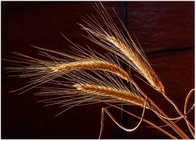 Tablou - Spic în prim plan (70x50 cm)