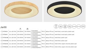 Plafoniera LED moderna cu telecomanda JOLLI 42W