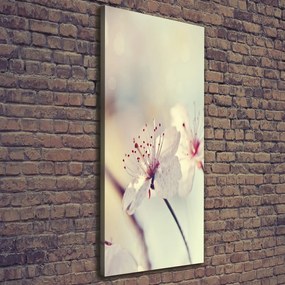 Imprimare tablou canvas Flori de cireș