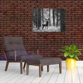 Tablou - Căprioare in pădure 2,alb-negru (70x50 cm)