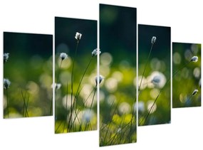 Tablou - Iarbă (150x105 cm)