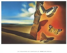 Imprimare de artă Landscape with Butterflies, 1956, Salvador Dalí