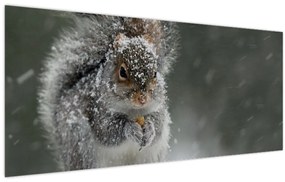 Tablou - Veveriță iarna (120x50 cm)