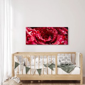 Tablou cu floarea trandafirului roșu (120x50 cm)