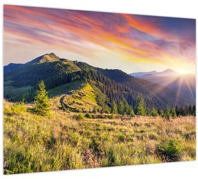 Tablou - Peisaj forestier (70x50 cm)