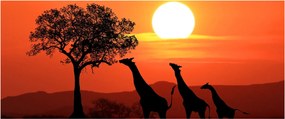 Tablou cu girafe în apus de soare (120x50 cm)