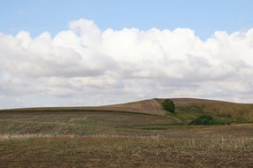 Tapet Cropland, Rebel Walls