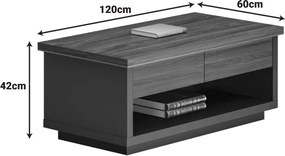 Birou directoral Oscar Nuc 120x60x42 cm