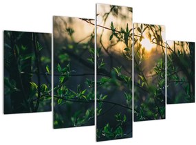 Tablou - Soarele strălucind printre crengile copacilor (150x105 cm)