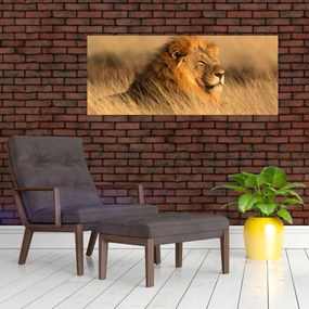 Tablou - Parcul Național Etosha (120x50 cm)