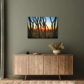 Tablou - Plante (70x50 cm)