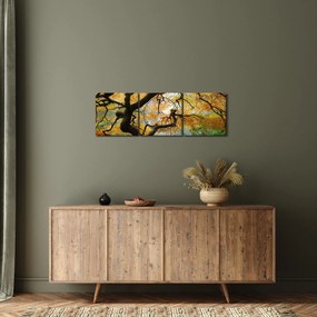 Tablou - Arțarul japonez galben, Portland, Oregon (cu ceas) (90x30 cm)