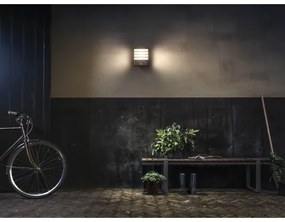 Corp de iluminat LED de exterior cu senzor RACCOON 1xLED/3W/230V IP44 Philips 17274/93/16