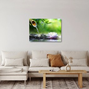 Tablou pe sticlă - Lotus (70x50 cm)
