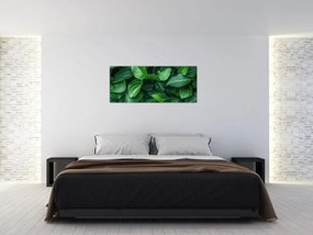 Tablou - Frunze verzi (120x50 cm)