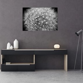 Tablou păpădie gri (90x60 cm)