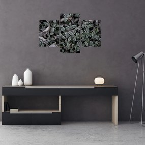 Tablou - Plante înghețate (90x60 cm)