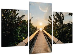 Tablou - drum spre soare (90x60 cm)