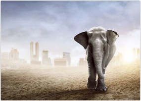 Tablou - Elefanți în oraș (70x50 cm)