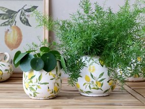 Ghiveci din ceramică, pictat manual, crem, H16/D17 cm, Limone