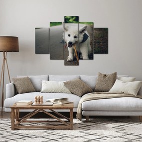 Tablou cu câinele alb (150x105 cm)