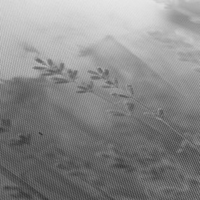 Tablou - Lavanda (70x50 cm)