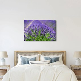 Tablou - lavanda (90x60 cm)