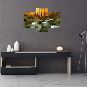 Tablou - Pădure (90x60 cm)