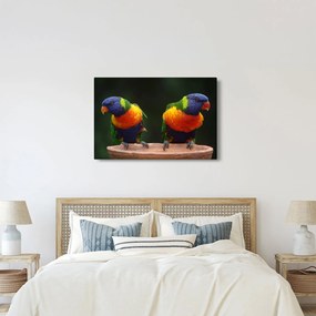 Tablou cu papagali (90x60 cm)