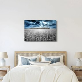 Tablou cu câmp (90x60 cm)