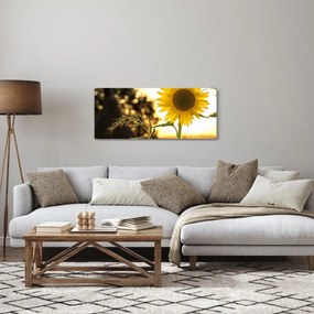 Tablou cu floarea soarelui (120x50 cm)
