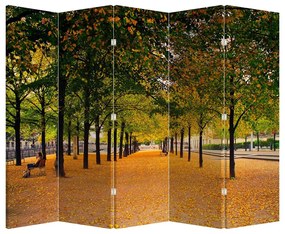 Paravan - Alee - copaci în toamnă (210x170 cm)